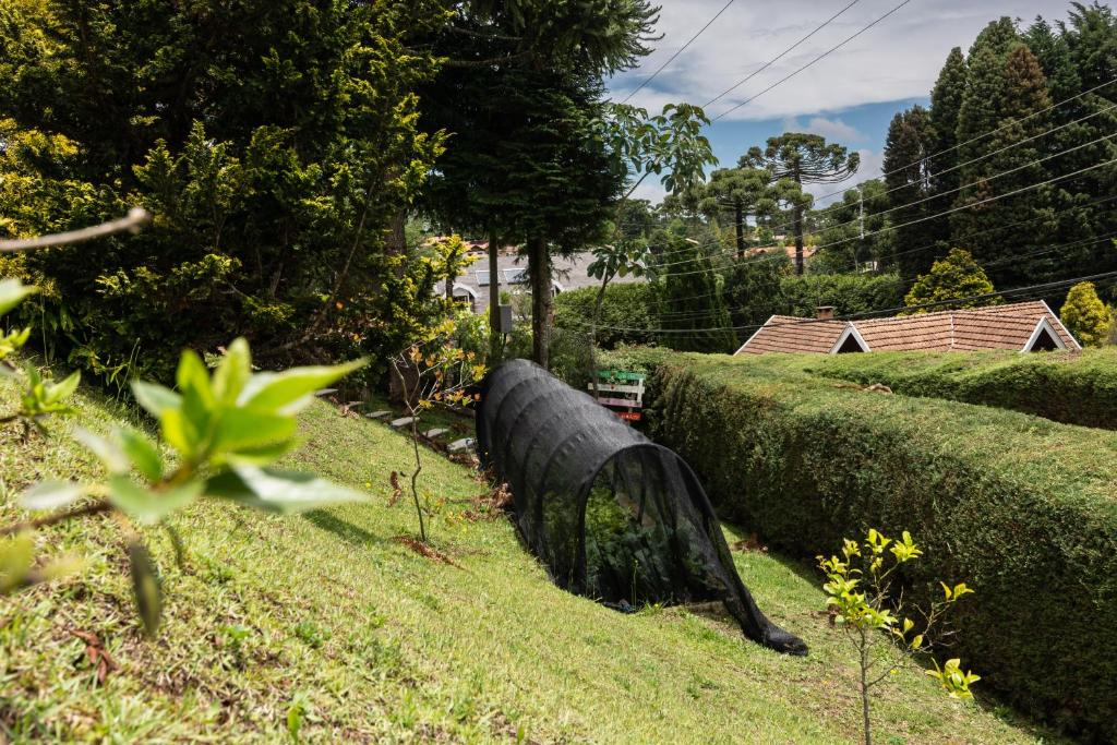  Charme e Natureza na Suíça Brasileira - LOVE CHALÉ