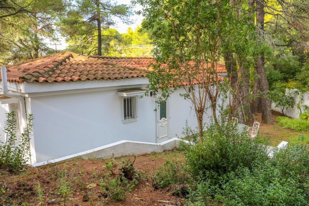Zahrada ubytování villa Hara