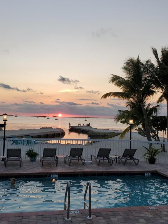 a swimming pool with benches and the ocean at sunset at Bayside Inn Key Largo in Key Largo
