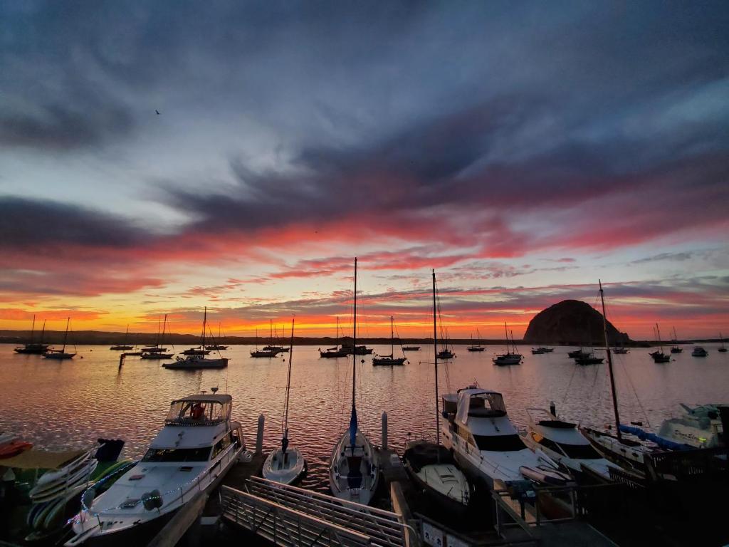 a group of boats docked in a marina at sunset at Gray's Inn & Gallery in Morro Bay