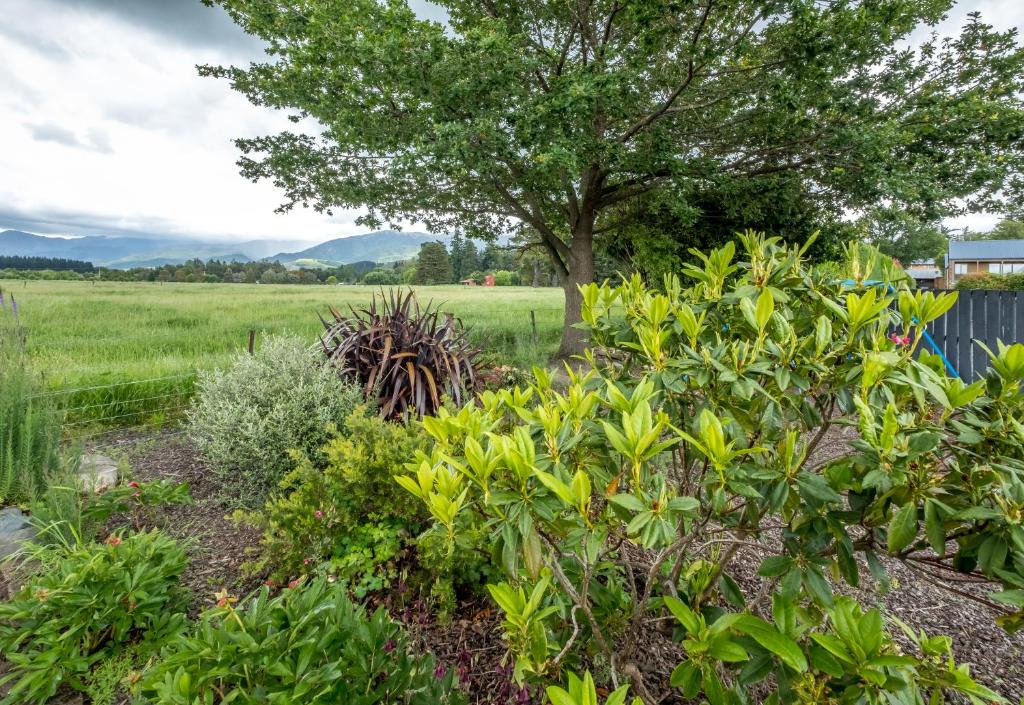 Hanmer Springs Scenic Views Motel - Resim 22