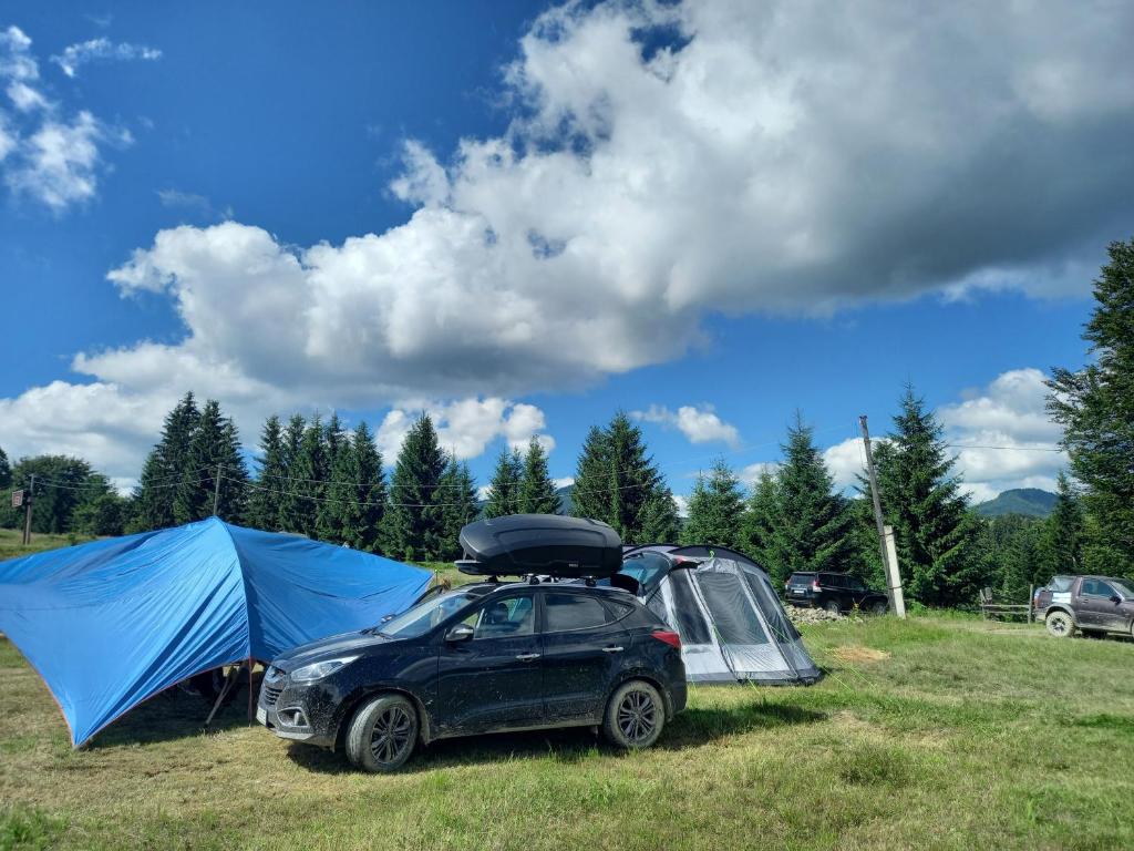 Příroda nedaleko kempu