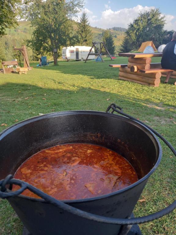 Fotografie z fotogalerie ubytování Camping Nad Karpatamy SPA v destinaci Hrobyshche