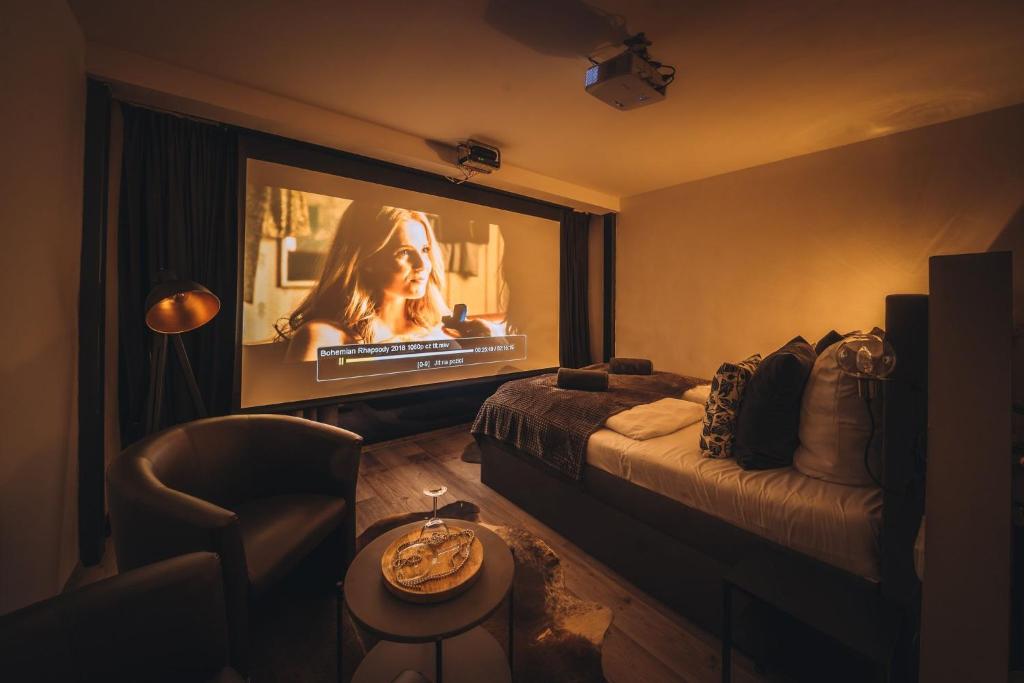 TV a/nebo společenská místnost v ubytování Boutique penzion Rech