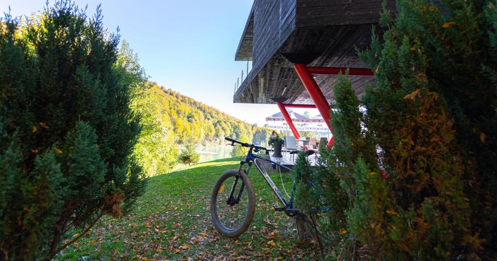 a bike parked on the grass next to a building at Pensiunea Atra Doftana in Teşila