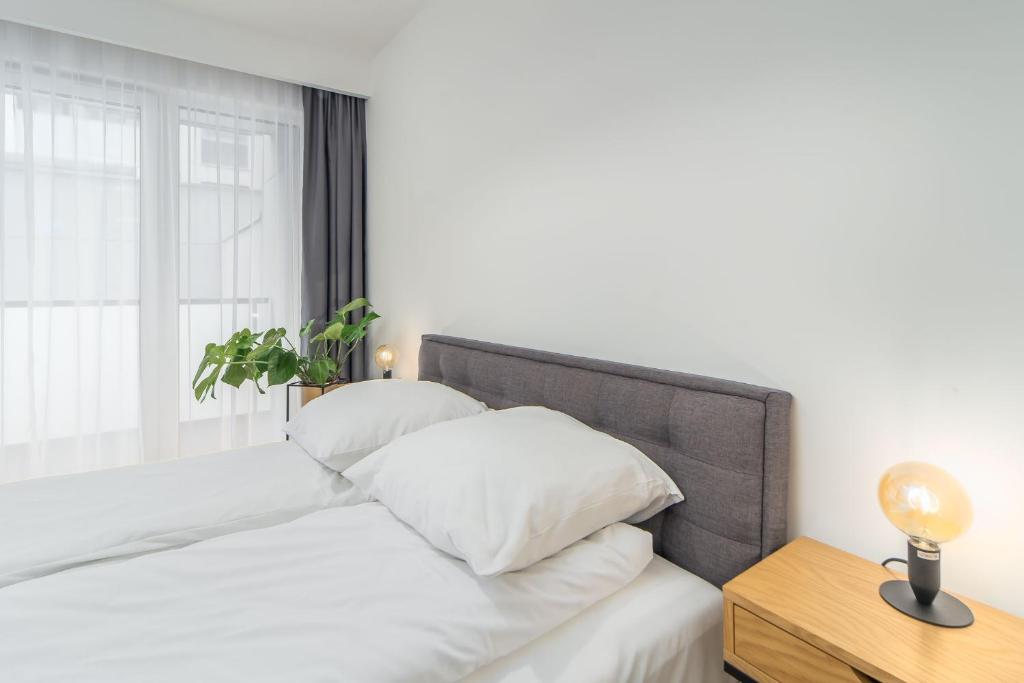 FARO Apartamenty Kasprowicza 20 BASEN w cenie SCHWIMMBAD im Preis - 11