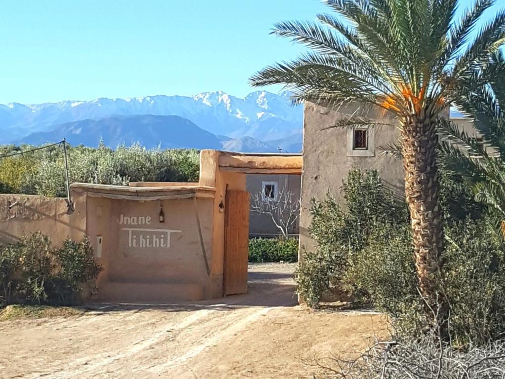 a house in the desert with a palm tree in front of it at Jnane Tihihit in Lalla Takerkoust