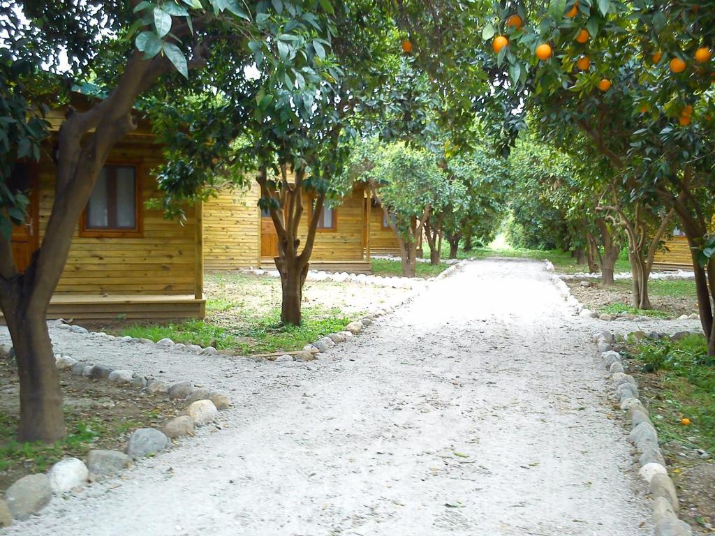 Yesil Bahce Bungalow Ahsap Evler Fethiye Turkey Booking Com