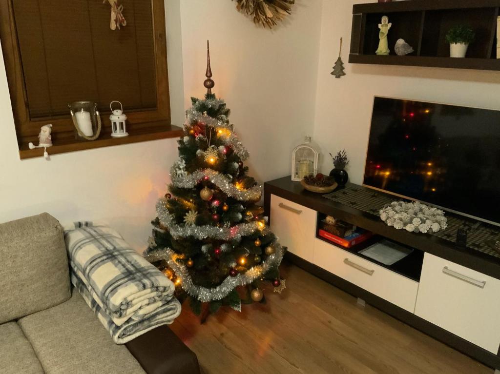 TV a/nebo společenská místnost v ubytování Villa Rocky View