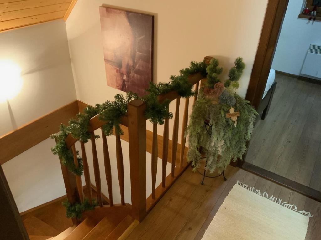 Fotografie z fotogalerie ubytování Villa Rocky View ve Staré Lesné