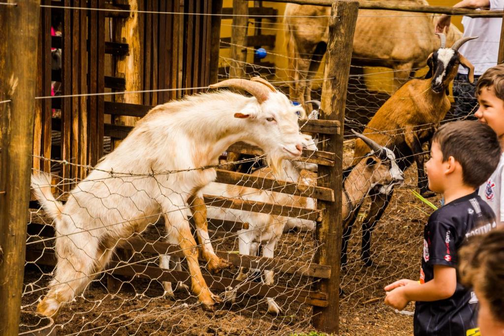  Santana's Ranch