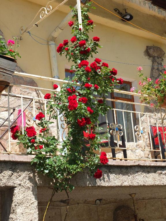 Anatolia cave hotel Pension - Deluxe Double Room