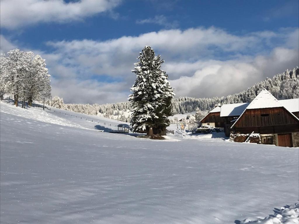 Wohlfühlpension Kreischberg inklusive Murau SommerGästeCard ab 2 Nächte v zimě