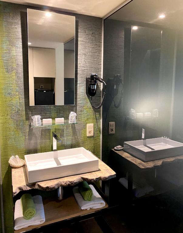 Koupelna v ubytování Hôtel WELLNESS EAU DE ROCHE Durbuy