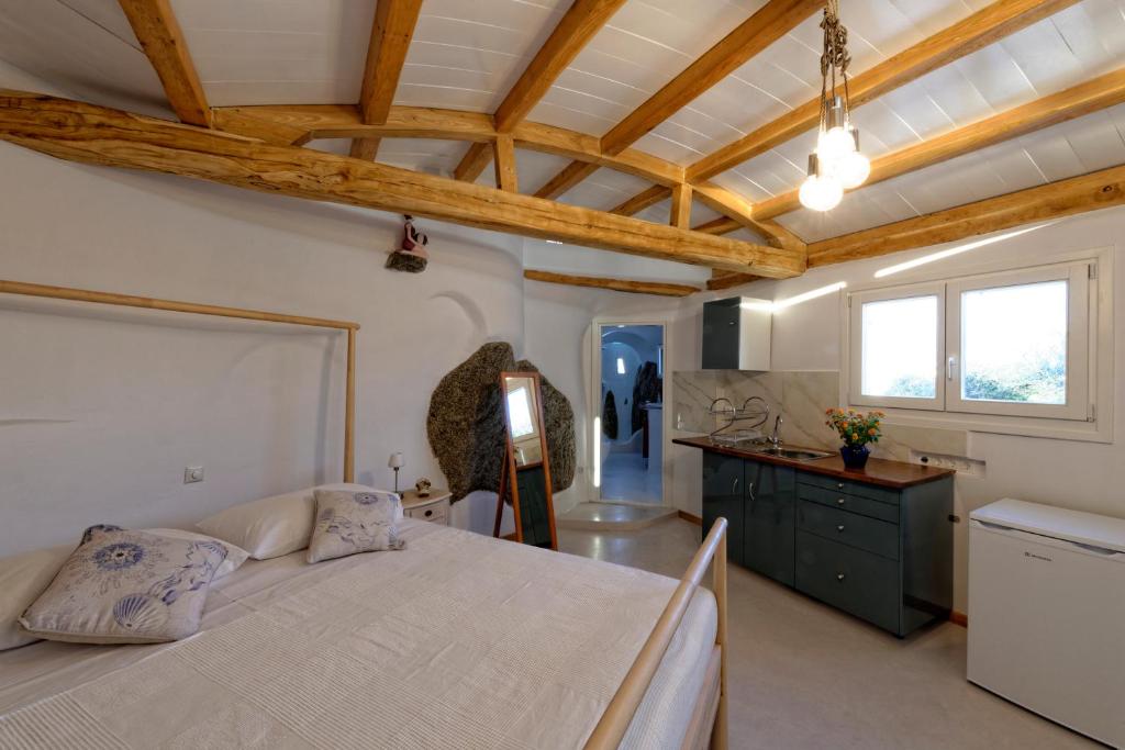 Kuchyňa alebo kuchynka v ubytovaní Luxury Suites Poseidon