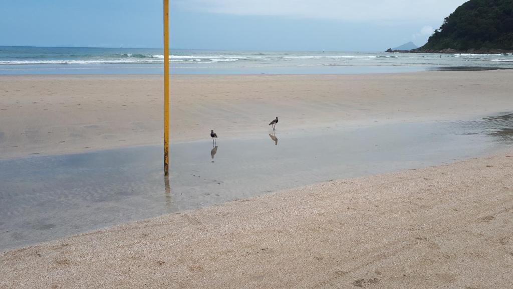  paraiso