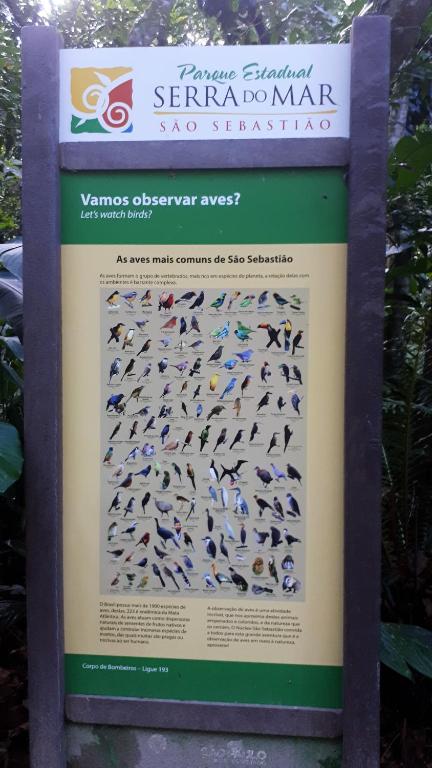  paraiso