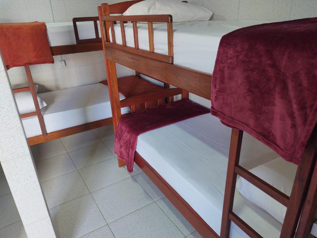  Havaí Atlantico Hostel e Pousada