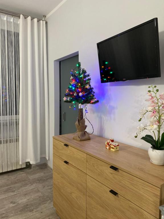 Televízia a/alebo spoločenská miestnosť v ubytovaní Apartament Rodzinny Centrum Zakopane