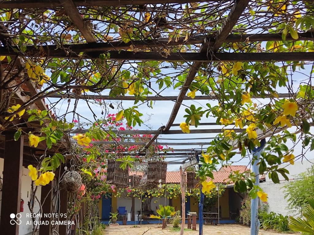 een pergola met gele bloemen en planten bij Pousada e Restaurante Tremembé in Icapuí