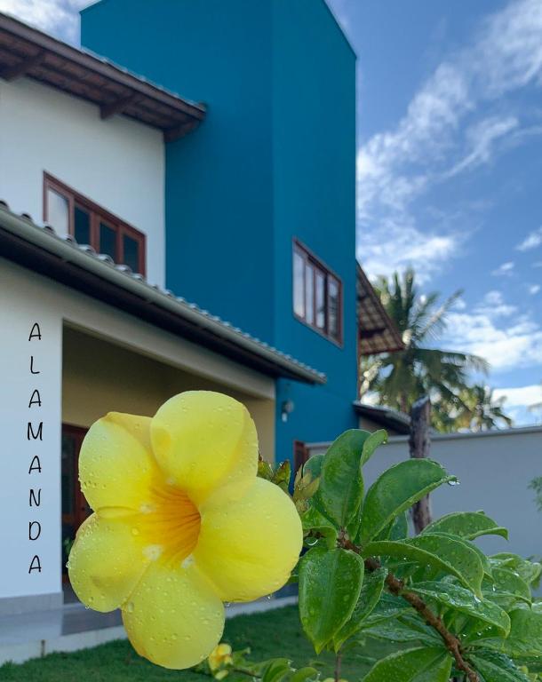 Flat Alamanda