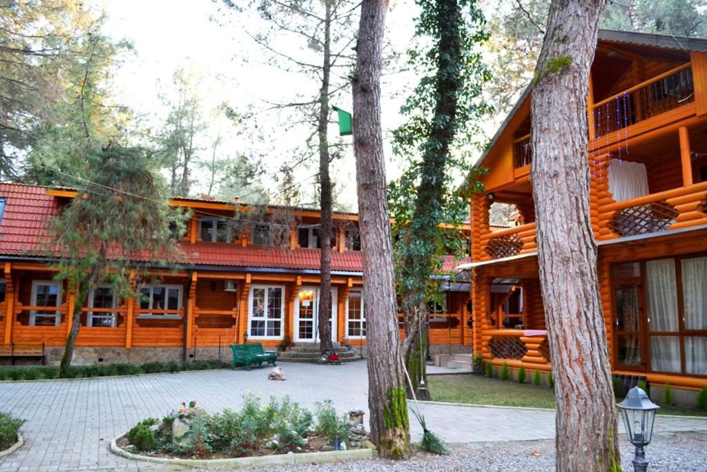 Абхазия пицунда кипарисовая аллея 6. Гостевой дом сосновый бор пицунда. Абхазия пицунда улица кипарисовая аллея. Пицунда гостевой дом на кипарисовой аллее. Абхазия пицунда улица кипарисовая аллея.