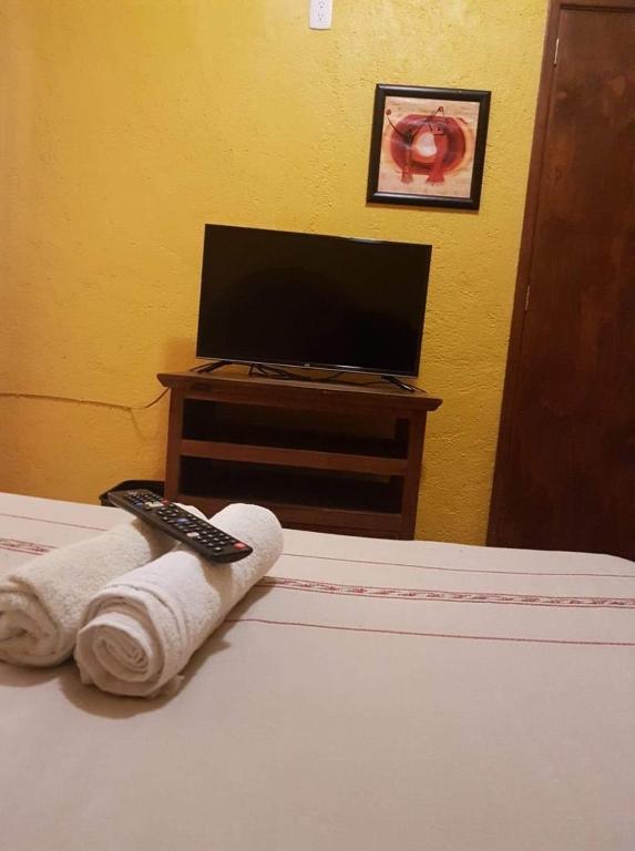 TV a/nebo společenská místnost v ubytování Posada la Natividad