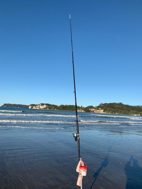 The Oceanside Motel - Resim 8