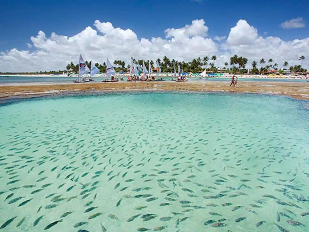  Flat Beach Class Resort Muro Alto