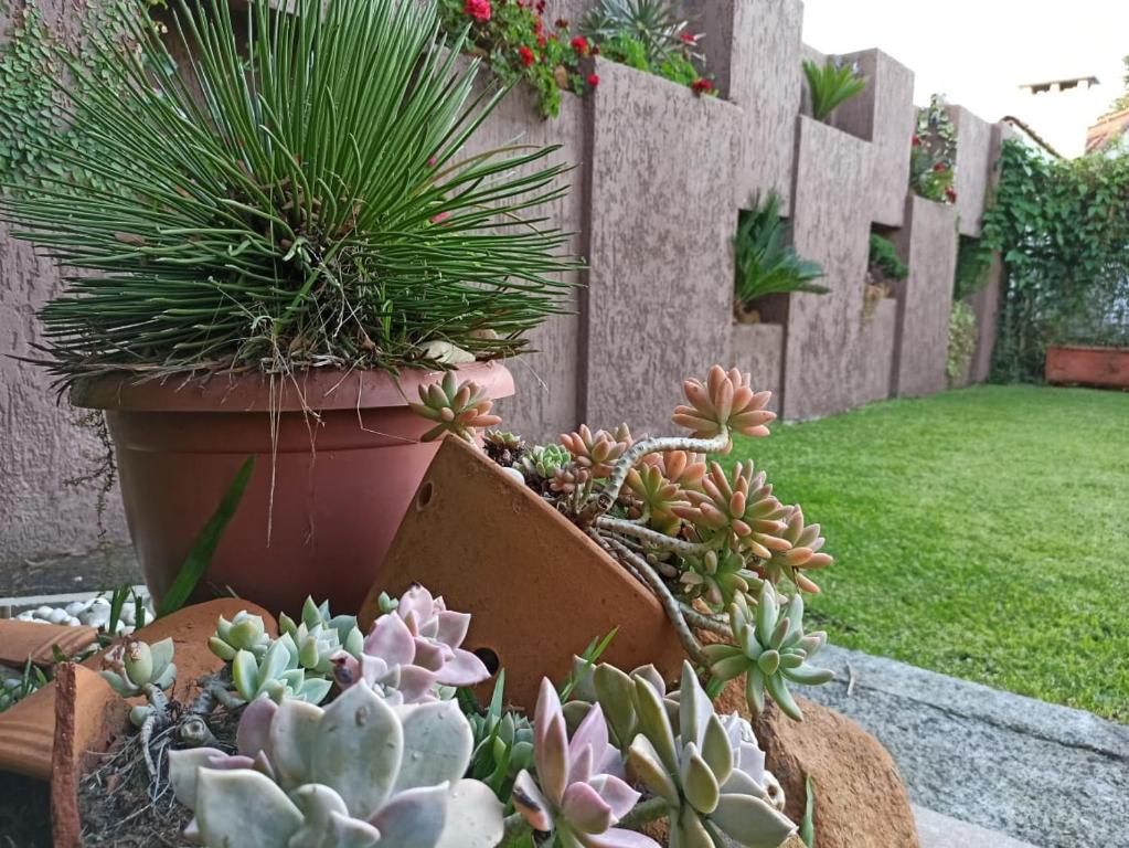  Casa Central Canela RS