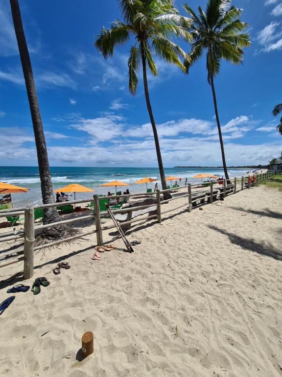 een zandstrand met palmbomen en de oceaan bij Praia dos Carneiros Flat 207 A - Carneiros Beach Resort in Tamandaré