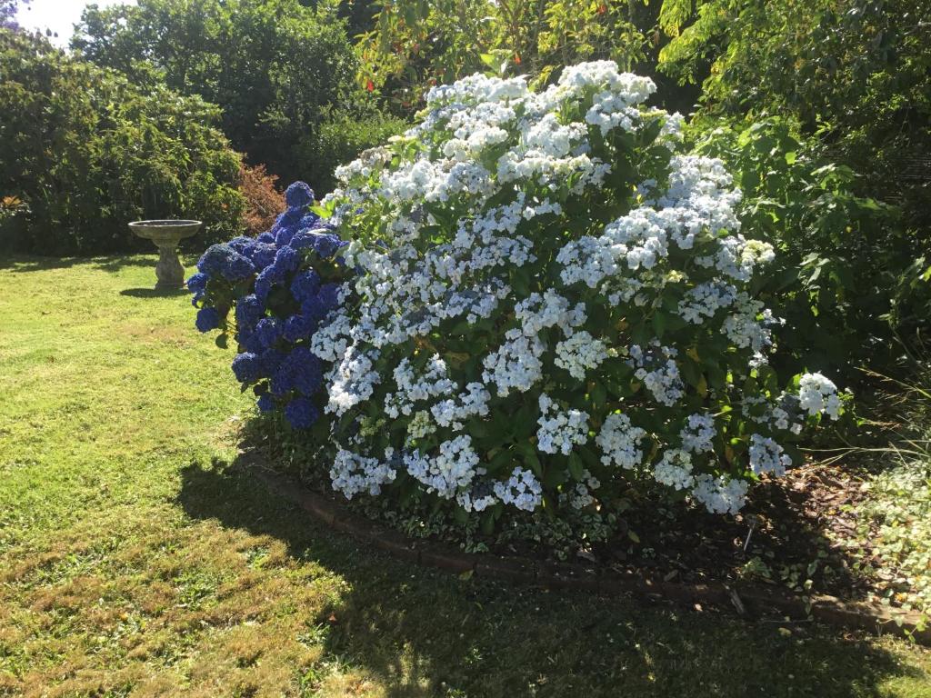 Pa Road B&B Kerikeri NZ - Resim 26