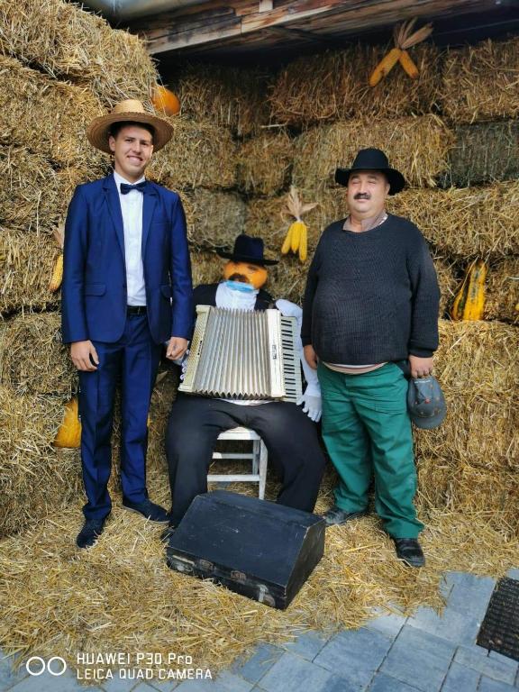 Majutusasutuse Sepsi Relax külastajad