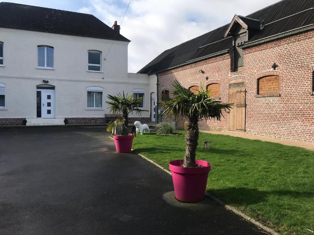 Dos palmeras en macetas frente a un edificio. en Le grand gîte de Commonwealth, en Hébuterne