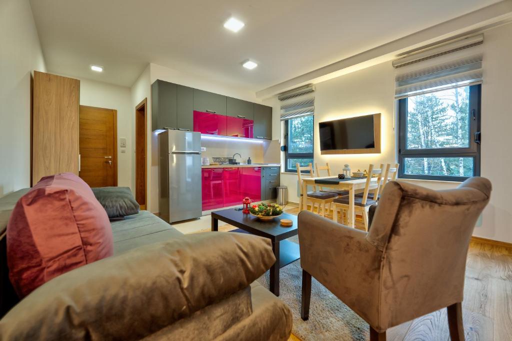 兹拉蒂博尔Zlatibor apartman Asteri的客厅里有一张沙发和一个厨房