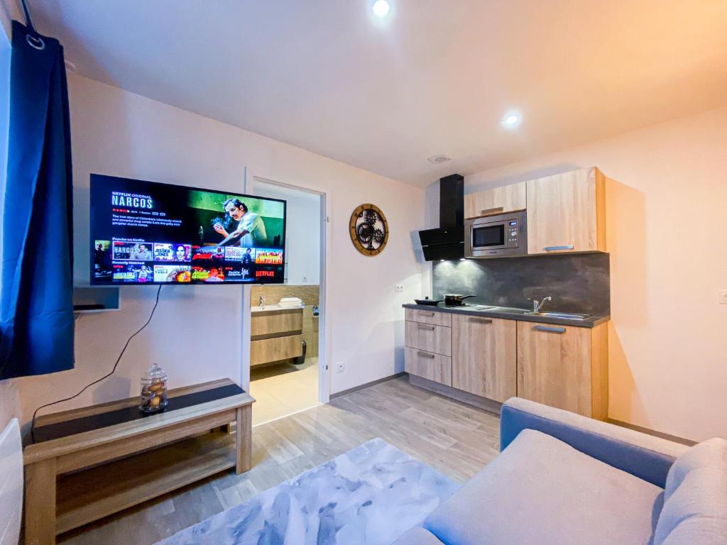 a living room with a couch and a flat screen tv at Appartement Le Majestudio in Morteau