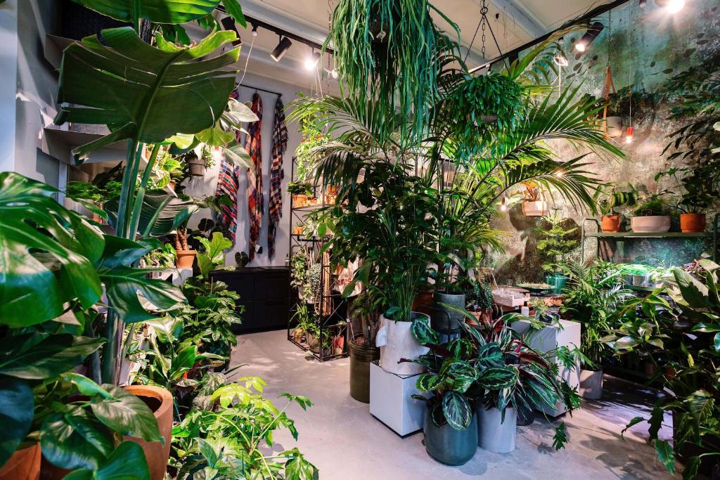 Daen’s Greenhouse - Resim 36