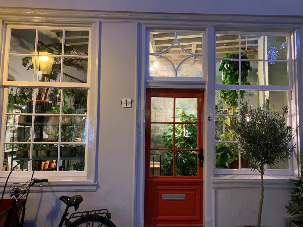 Daen’s Greenhouse - Resim 39