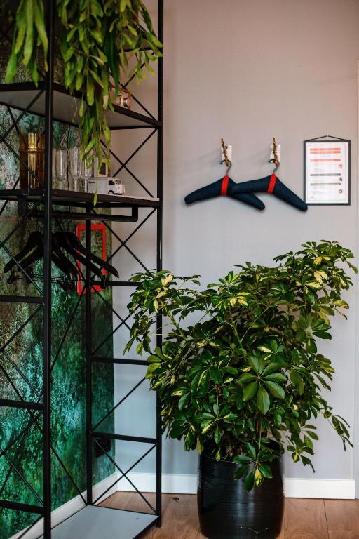 Daen’s Greenhouse - Resim 30