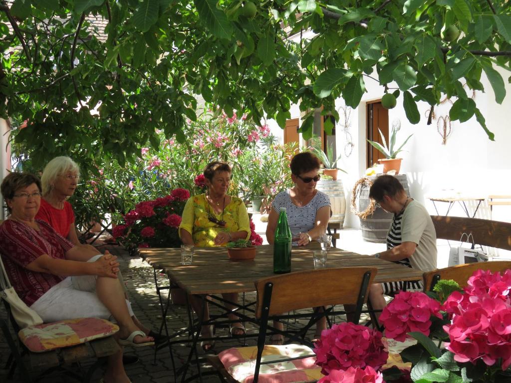 Hosté ubytování Gästehaus Elfriede