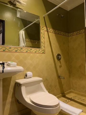 a bathroom with a shower and a toilet and a sink at Hotel 1915 INN & SUITES in Alajuela City