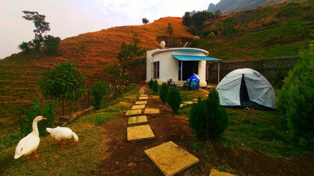a building with a tent and two swans in the grass at Jandyal Farm House in Malshej Ghat