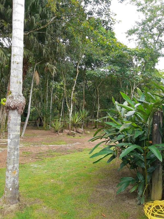  Casa Alto Padrão em Ubatuba em Condomínio