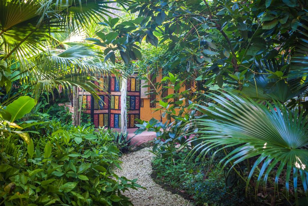 Zahrada ubytování Casa Don Diego