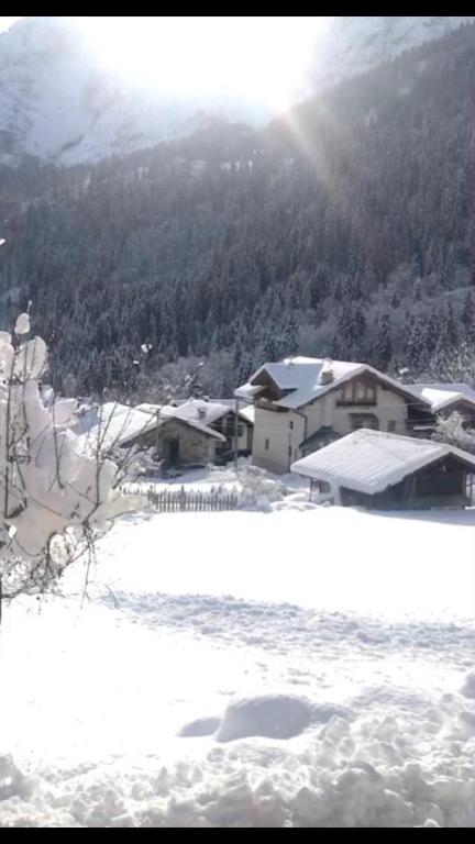 Příroda nedaleko apartmánu