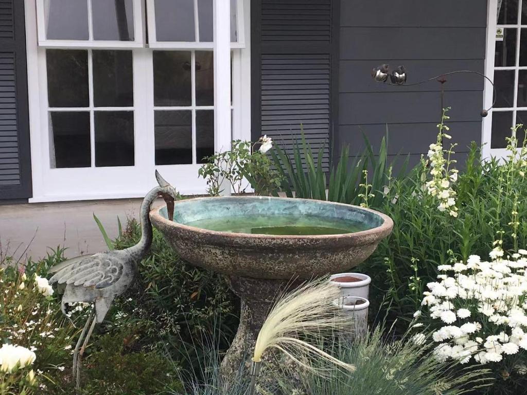 Amy's Forest City Villa - Resim 28