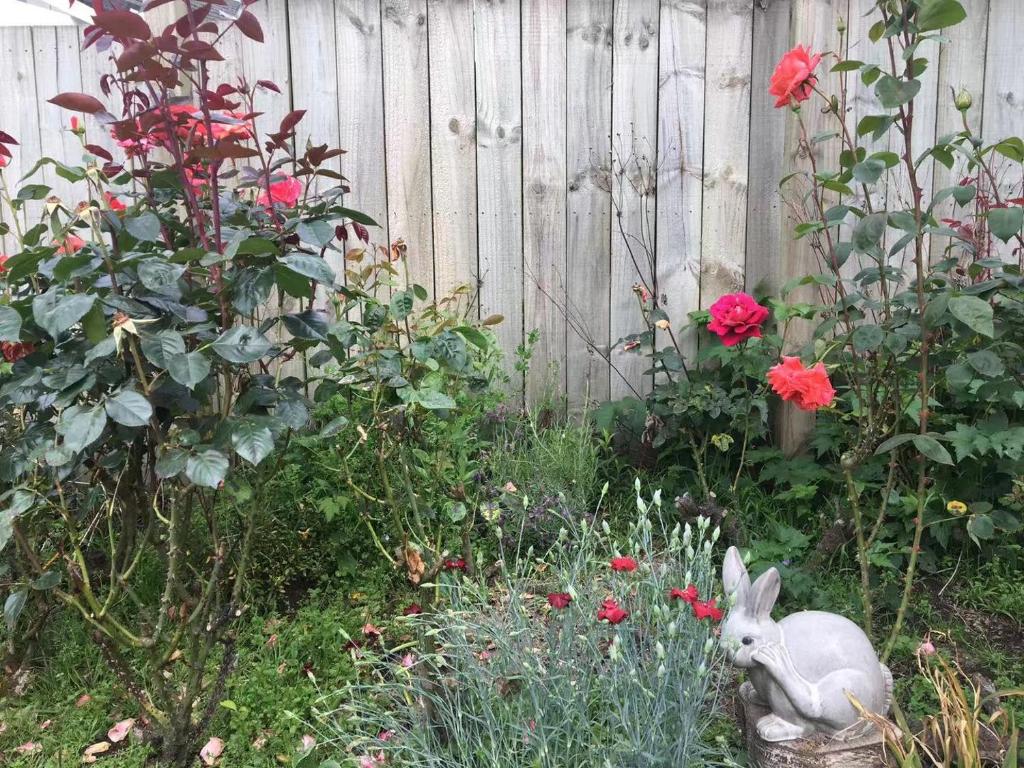 Amy's Forest City Villa - Resim 30