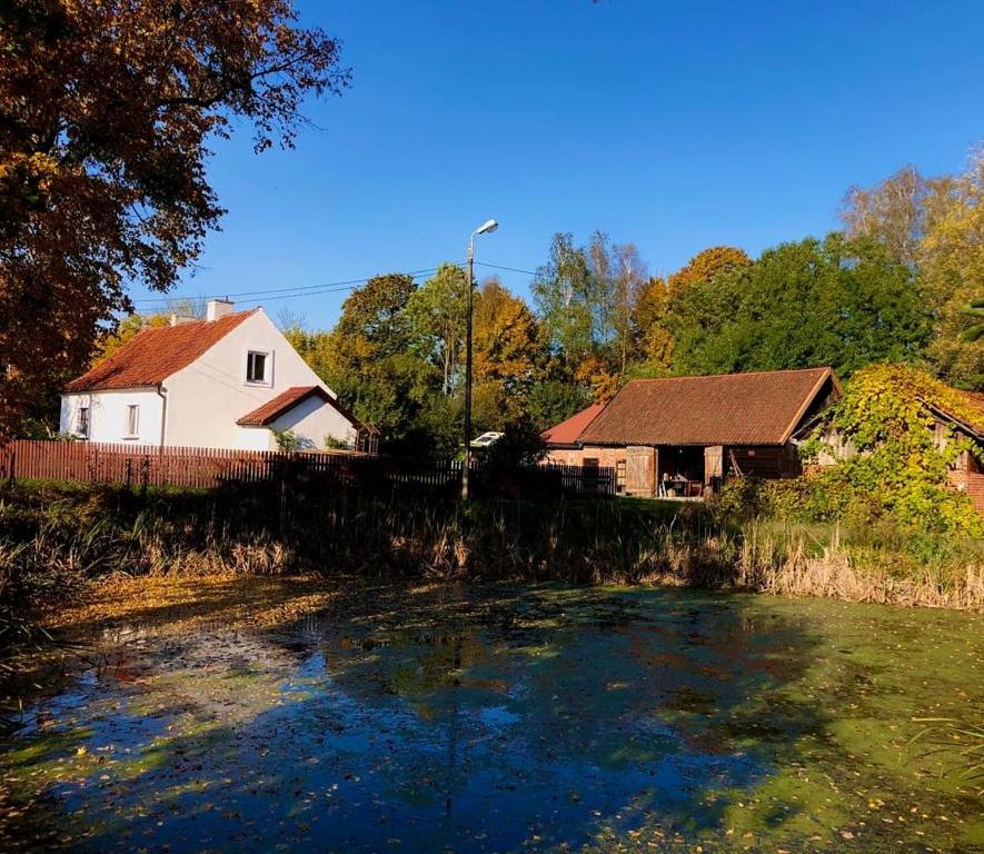 una casa y un estanque frente a una casa en Camp Warmia, en Stare Kawkowo