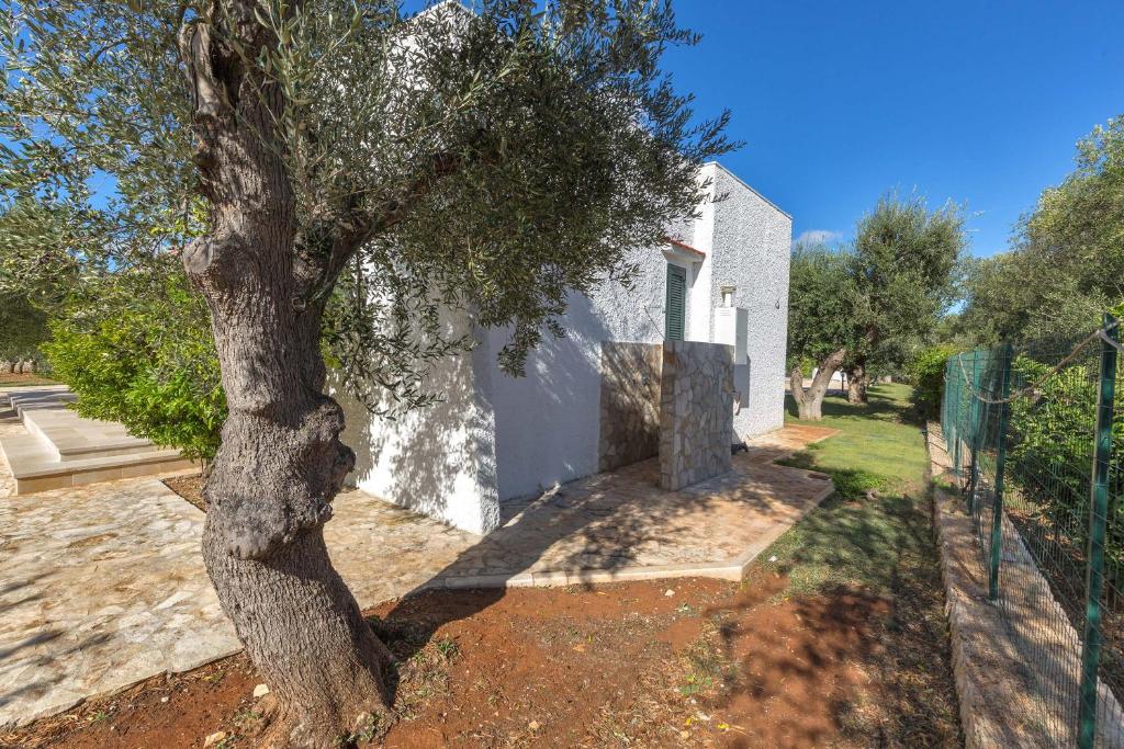 Vonkajšia záhrada v ubytovaní Villa Sorrentino by Perle di Puglia