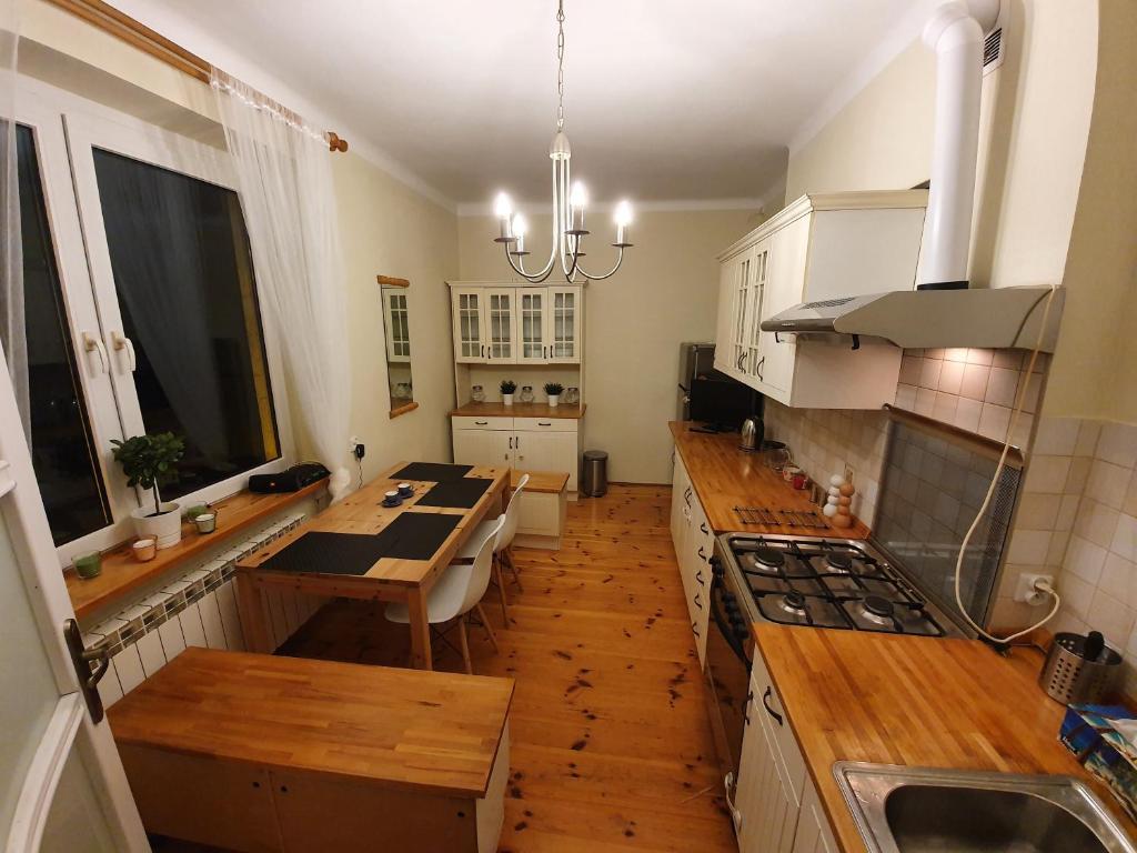 Kuchyň nebo kuchyňský kout v ubytování Hostel Czecha